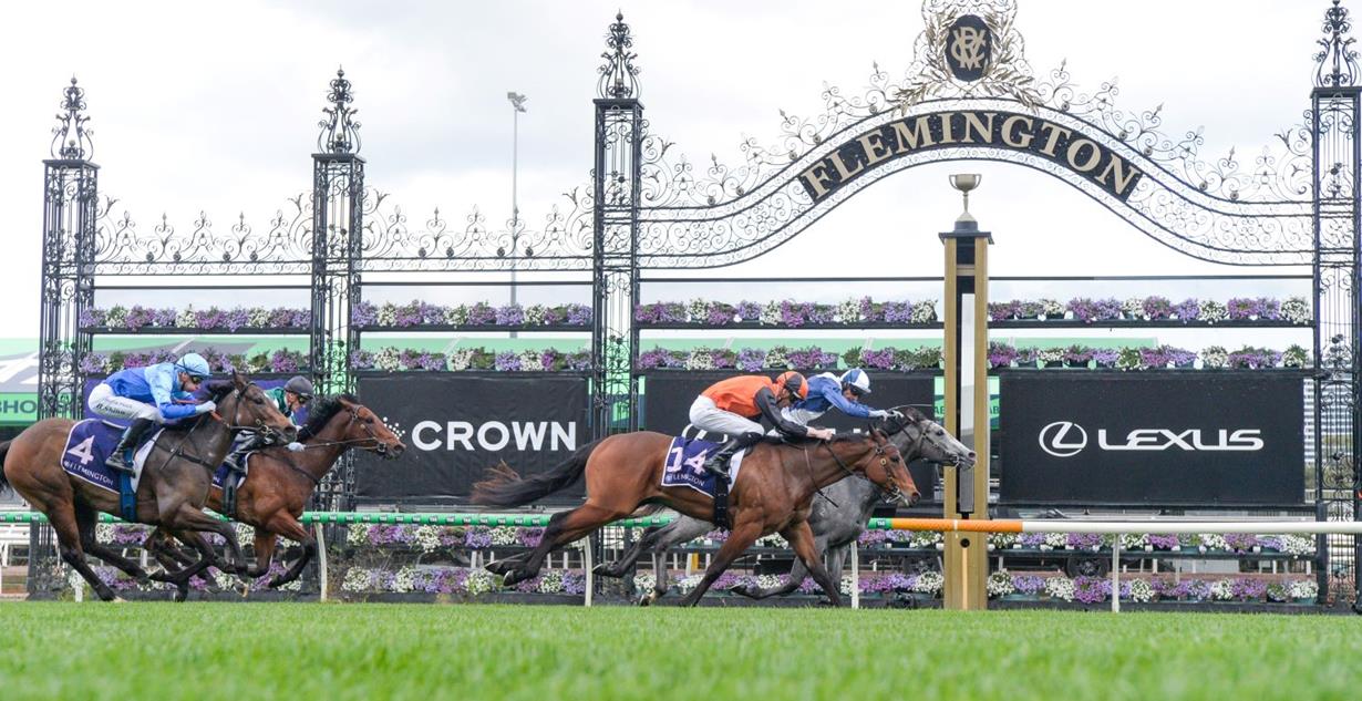My Gladiola - Flemington 13th September 2025 (Listed Cap D'Antibes Stakes)
